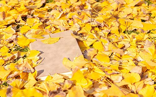 ?自考有什么報名流程？