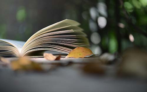 自學(xué)考試文憑含金量高不高? 自學(xué)考試文憑含金量高不高?