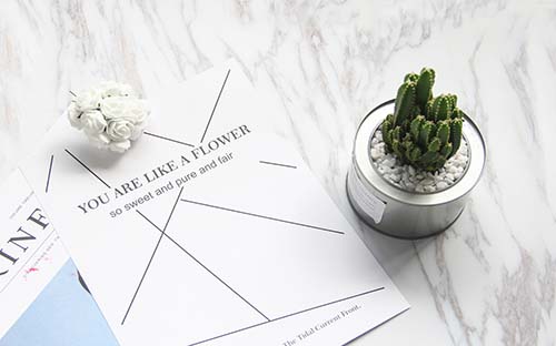 青海成人高考成績怎么查詢？