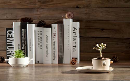 成人高考和開放教育有什么區(qū)別？