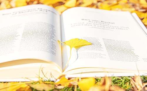 高起點(diǎn)自考教材有哪些？