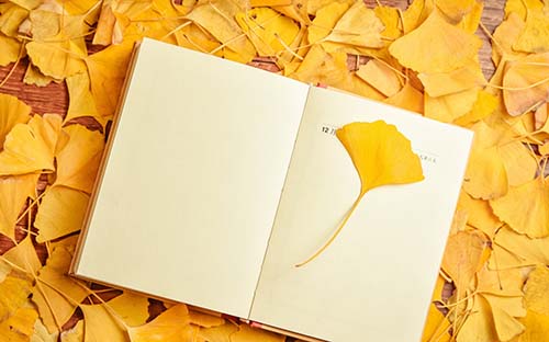 自考本科人力資源管理需要考哪些科目？