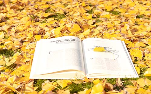 自考專業(yè)?？荚趺崔k?