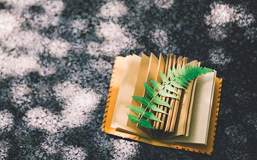 自考學(xué)歷可以報(bào)考哪些證書(shū)?