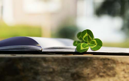 如何報(bào)名全日制自考本科？