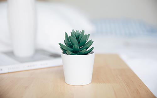 自學(xué)考試信息錯誤可以修改嗎？