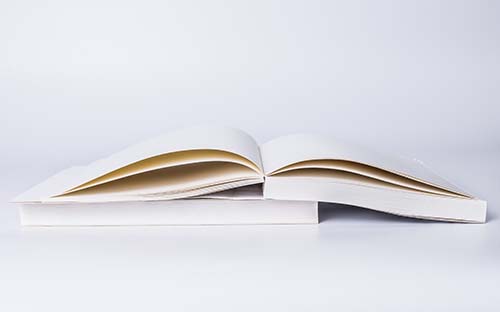 東莞成人高考怎么報(bào)名？