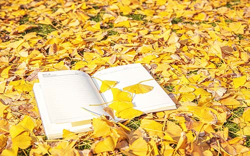 自考學(xué)分是怎樣計(jì)算的?