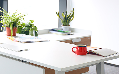 山東自考本科報(bào)名官網(wǎng)是哪個(gè)？