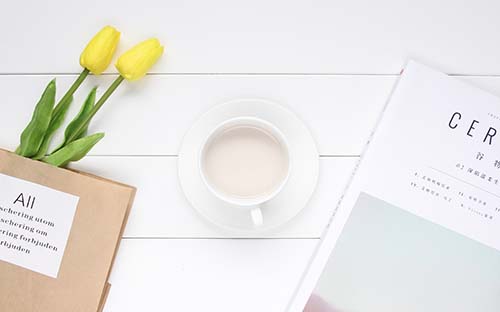 浙江成人高考怎么查分？