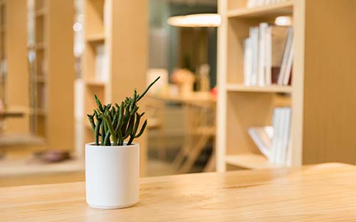 什么時(shí)候報(bào)名西藏自學(xué)考試？