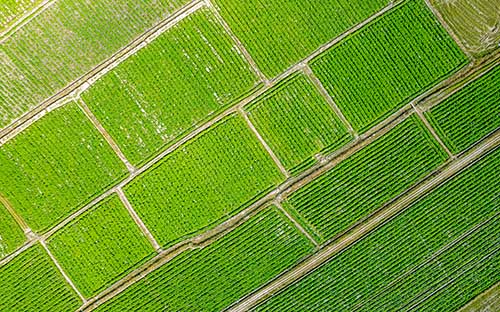 自考就業(yè)前景好的專業(yè)有哪些?