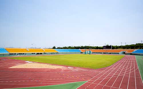 深圳自考專業(yè)有哪些類型？