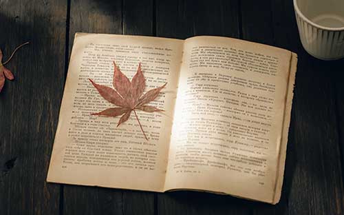 成人高考報(bào)考時(shí)間是怎么安排的？