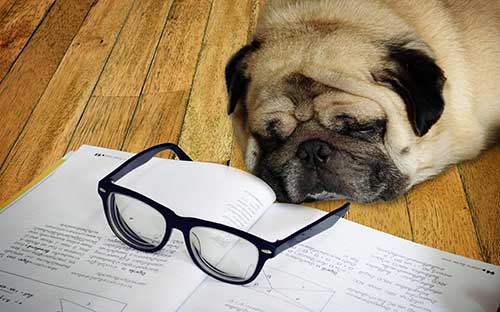 自學(xué)考試通過(guò)率是怎么樣？