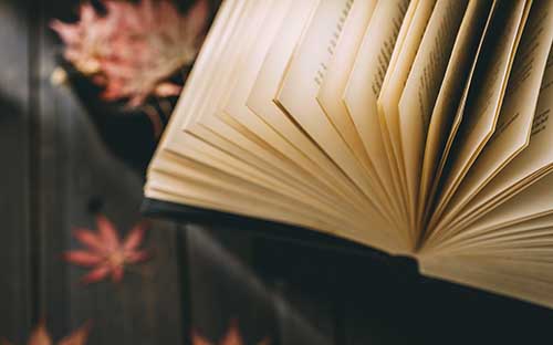 自考本科什么時候可以申請學位？