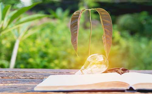 成人高考報名怎么填志愿？什么時候出結(jié)果？