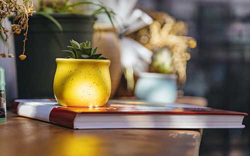 自考報(bào)名收費(fèi)標(biāo)準(zhǔn)是什么？第一次報(bào)名時(shí)間是什么時(shí)候？