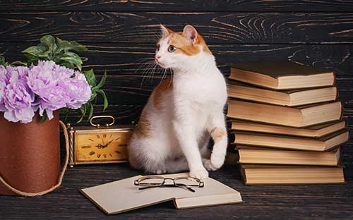 伯克利音樂(lè)學(xué)院在哪？伯克利音樂(lè)學(xué)院留學(xué)優(yōu)勢(shì)是什么？