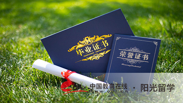 荷蘭藝術(shù)史與理論專業(yè)本科留學(xué)有哪些申請條件