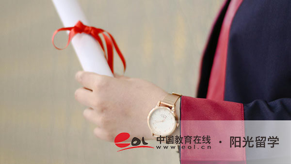 上海外國語大學中外合作國際本科1+2學費多少一年