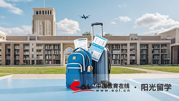 愛爾蘭數(shù)據(jù)藝術(shù)專業(yè)研究生留學(xué)有哪些條件