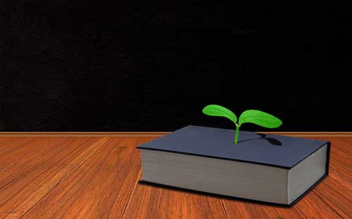 ?自考本科會計學歷可以報名公務員?嗎？推薦選擇什么專業(yè)？